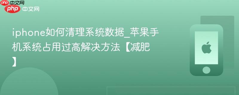 iphone如何清理系统数据_苹果手机系统占用过高解决方法【减肥】