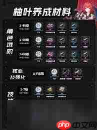 绝区零柚叶养成所需材料是什么