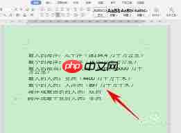 Word字体显示不全怎么办