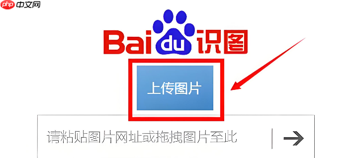 百度识图浏览器入口 百度识图网页版入口大全