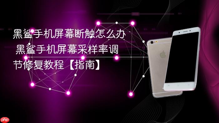 黑鲨手机屏幕断触怎么办 黑鲨手机屏幕采样率调节修复教程【指南】