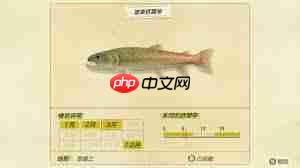 动物森友会冬季鱼类何时出没