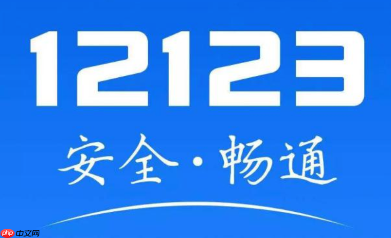 驾驶证不小心丢了?12123交管app补办驾照邮寄到家【补办】