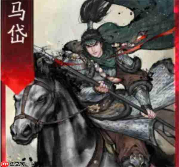 三国望神州马超副将与队友搭配推荐