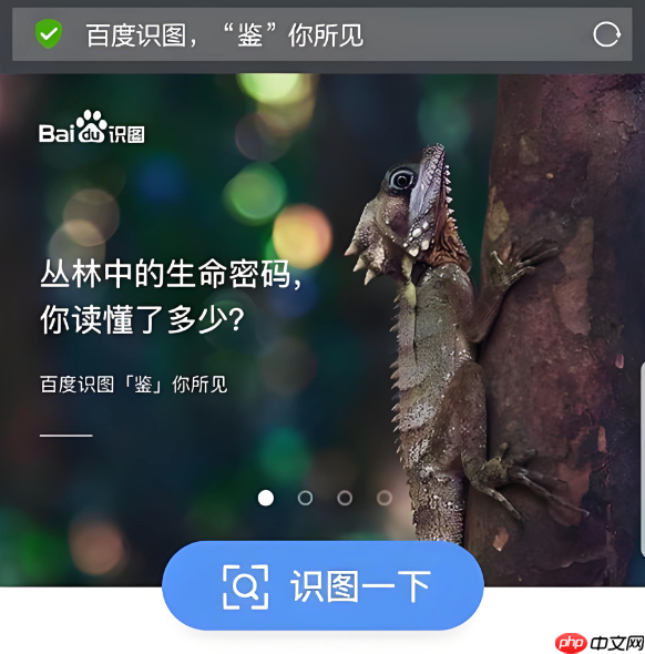 百度识图怎么识别食物热量 百度识图识物算热量方法【教程】
