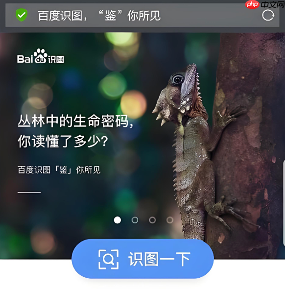 百度识图怎么识别汽车型号 百度识图车型识别方法【指南】