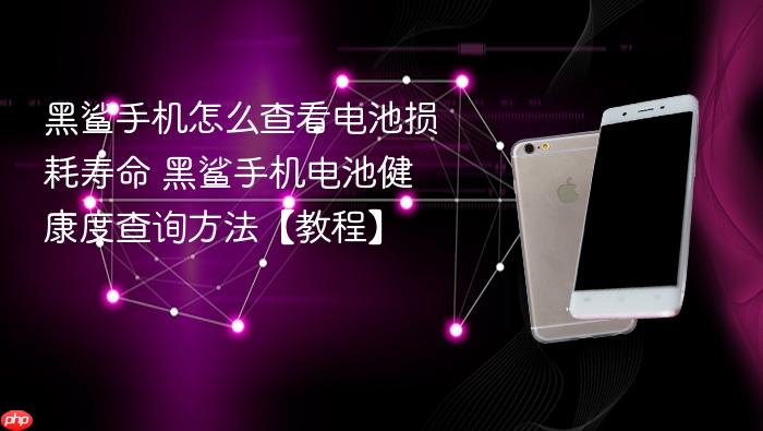 黑鲨手机怎么查看电池损耗寿命 黑鲨手机电池健康度查询方法【教程】