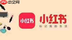 小红书网页版登录页面怎么找
