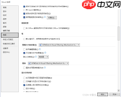 如何在Word文档中设置打印无损图像