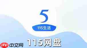 115网盘资源网站地址是什么