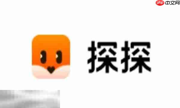 探探APP下载 探探APP官方下载地址