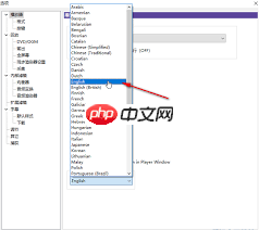 如何在KMPlayer中切换界面语言