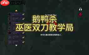 鹅鸭杀巫医有什么技能