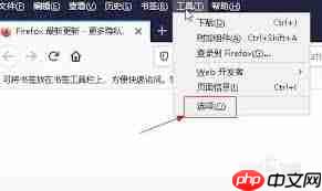 火狐浏览器自动播放设置在哪