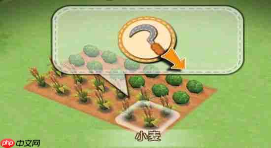 四季物语农作物怎么播种