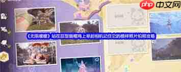 无限暖暖站在巨型画帽鸡上举起相机如何拍照片