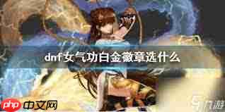 DNF2026女格斗家徽章属性怎么选-2026DNF女格斗家徽章属性选择攻略