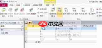 如何将access表中数据进行复制和转移