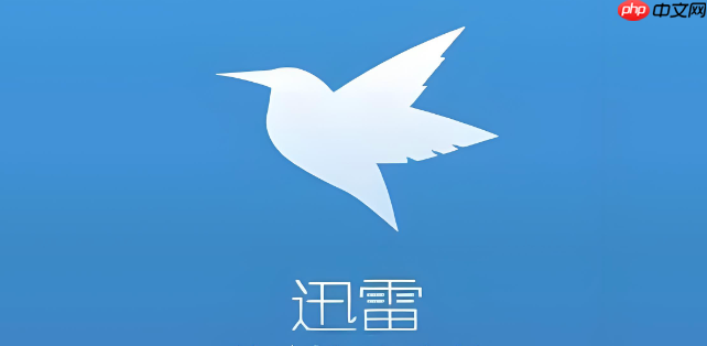 迅雷怎么查看云盘空间_迅雷云盘剩余容量查看教程【实战】