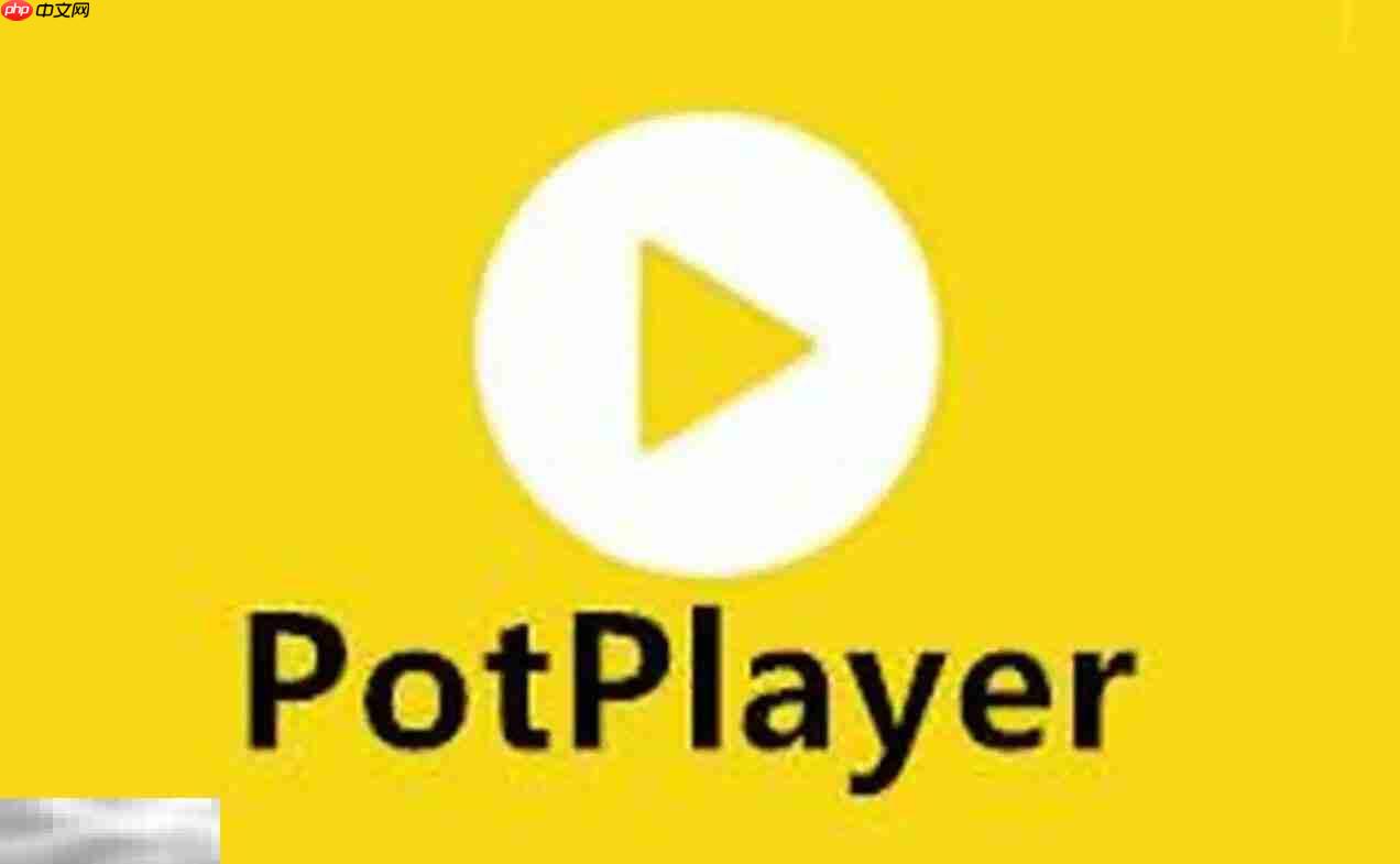 potplayer官网最新地址 potplayer官方电脑版入口