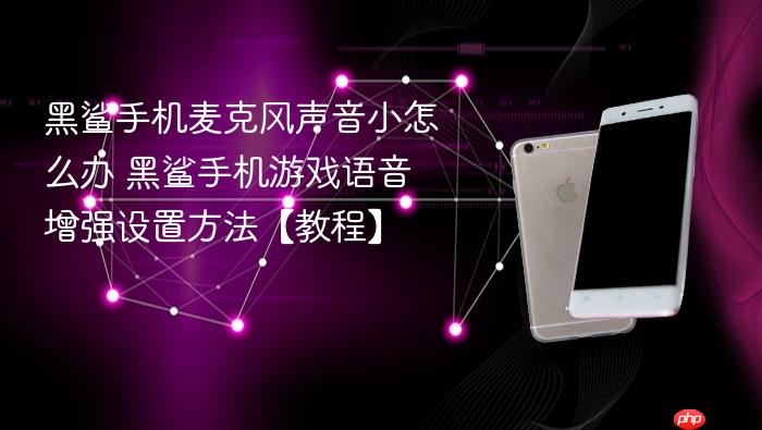 黑鲨手机麦克风声音小怎么办 黑鲨手机游戏语音增强设置方法【教程】