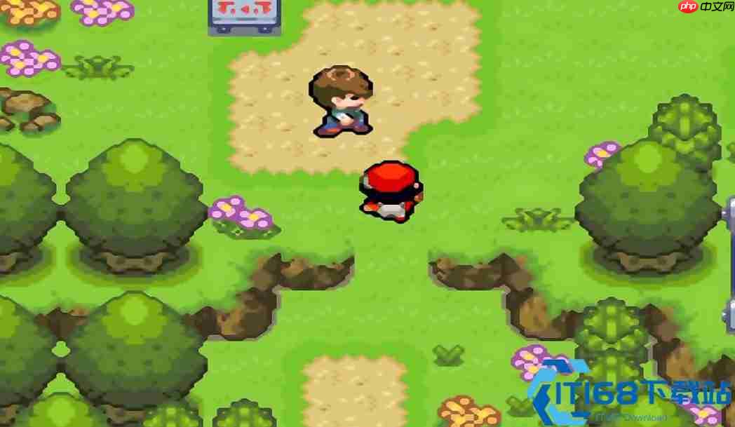 口袋妖怪火红刷卡器秘闻 GBA 外设的奇妙物语