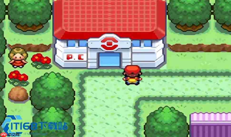 口袋妖怪火红刷卡器秘闻 GBA 外设的奇妙物语