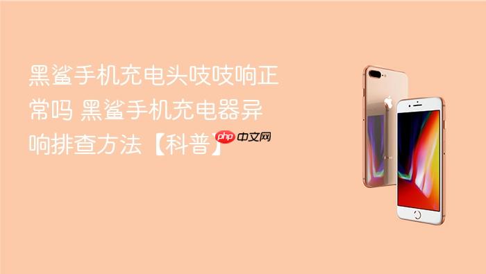 黑鲨手机充电头吱吱响正常吗 黑鲨手机充电器异响排查方法【科普】