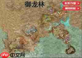 剑灵怀旧服大漠古代石碎片在哪