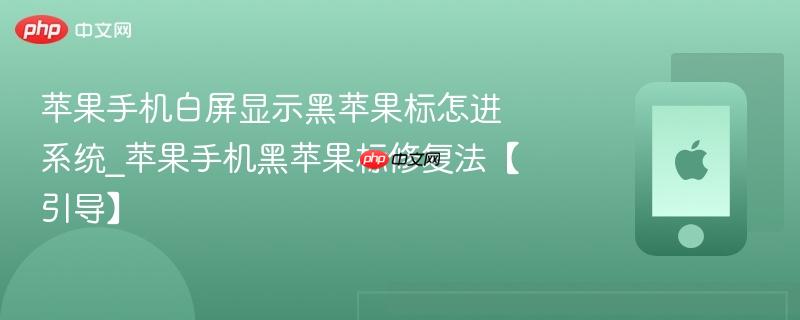苹果手机白屏显示黑苹果标怎进系统_苹果手机黑苹果标修复法【引导】