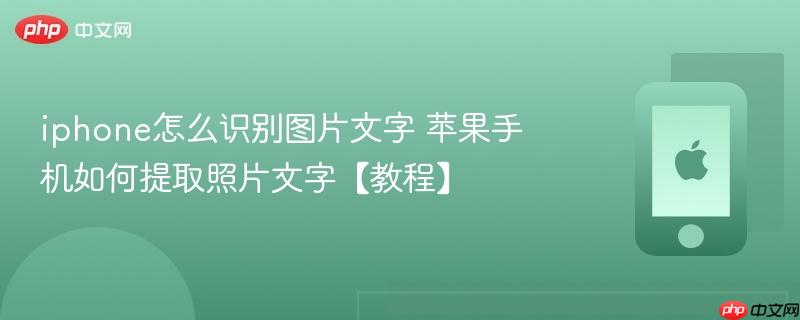 iphone怎么识别图片文字 苹果手机如何提取照片文字【教程】