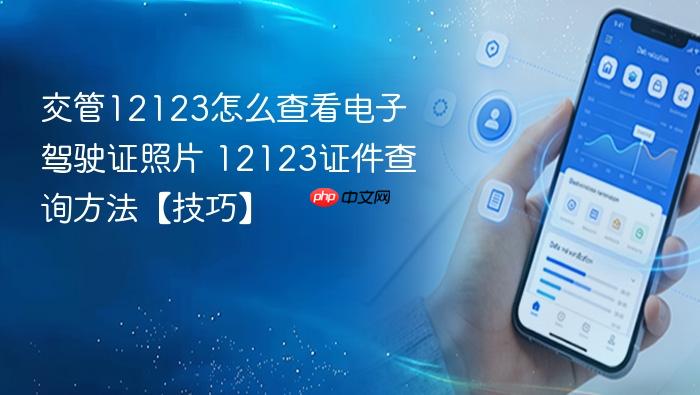 交管12123怎么查看电子驾驶证照片 12123证件查询方法【技巧】