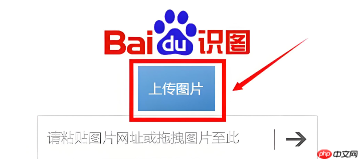百度以图搜图入口 百度识图在线识别入口
