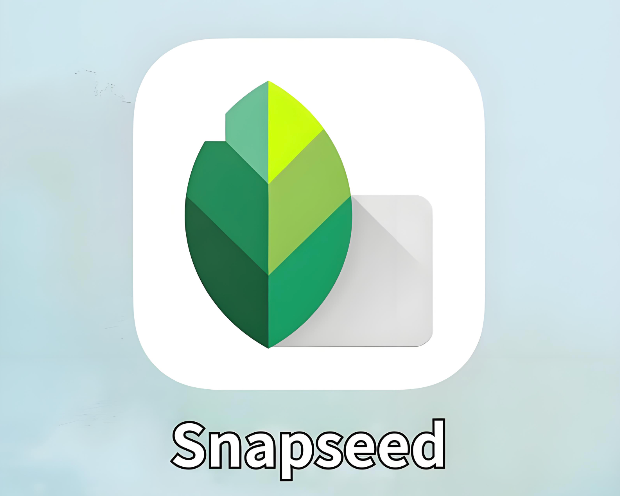snapseed怎么消除画面杂物 snapseed修复工具使用方法【教程】 - 98游戏